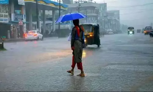 MP : राज्य में मानसून की दस्तक; रीवा, सीधी और अन्य स्थानों पर भारी बारिश की चेतावनी