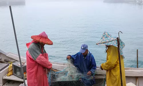 राष्ट्रीय सुरक्षा चिंताओं के बीच, Taiwan अपने प्रादेशिक जल से अवैध चीनी सीप रैक को हटाएगा राष्ट्रीय सुरक्षा चिंताओं के बीच, Taiwan अपने प्रादेशिक जल से अवैध चीनी सीप रैक को हटाएगा