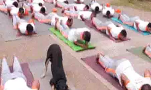 अंतर्राष्ट्रीय योग दिवस से पहले उधमपुर योग सत्र में NDRF प्रशिक्षित आवारा कुत्ते ने बटोरी सुर्खियां