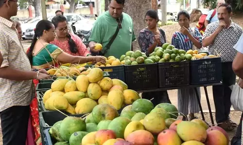 Karnataka: आम किसानों को राहत देने के लिए कैबिनेट केंद्र पर दबाव बनाएगी