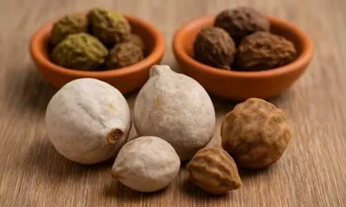 आयुर्वेद की अमूल्य विरासत हरीतकी, कई समस्याओं से लड़ने में कारगर