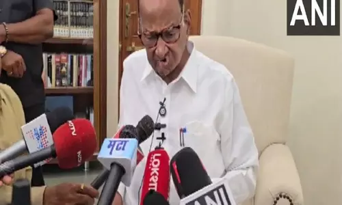 स्थानीय निकाय चुनावों के बारे में अभी तक कुछ भी तय नहीं किया गया है: Sharad Pawar