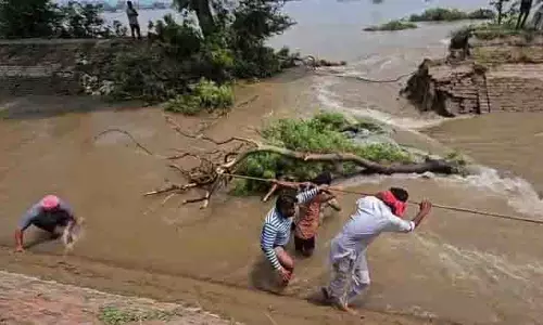Sunam के पास नहर में 40 फुट की दरार, धान और मक्के की फसल पर प्रतिकूल असर Sunam के पास नहर में 40 फुट की दरार, धान और मक्के की फसल पर प्रतिकूल असर