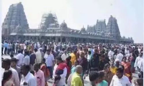 Telangana: 2 बंदोबस्ती विभाग पैनल, पुलिस यदागिरिगुट्टा में 60 किलोग्राम इमली चोरी की जांच