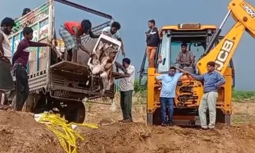 Jaipur: मत्स्य विभाग के निरीक्षण दल ने 1200 किलो मछलियों से भरी पिकअप को किया जब्त