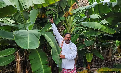 Karnataka :  मॉडल किसान राचप्पा उल्लागाडी विविध फसलें उगाते हैं