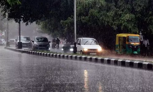 Punjab, Haryana : कुछ हिस्सों में बारिश से मिली गर्मी से राहत