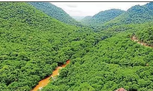 Karnataka : हरियाली से सजा संदूर