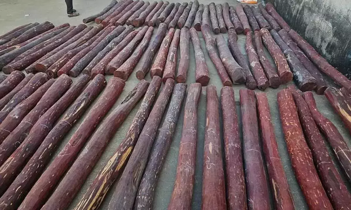 Andhra: लाल चंदन तस्कर को 5 साल की जेल Andhra: लाल चंदन तस्कर को 5 साल की जेल