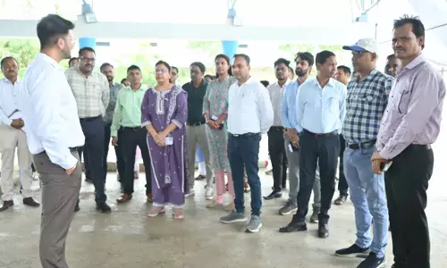 हरित योग के तहत 200 पौधों का होगा रोपण