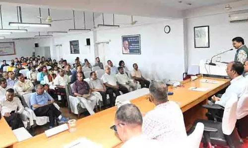 Sirmaur में लहसुन की खेती का विस्तार हो रहा