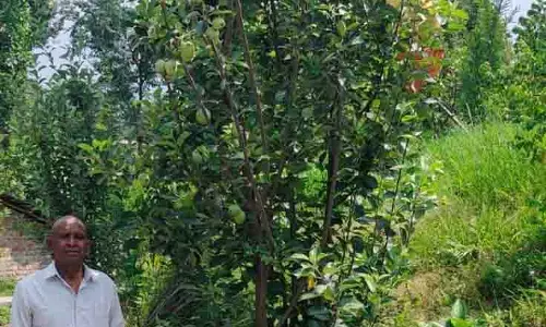 Himachal: बंजर से भरपूर, प्रीतम का बगीचा ग्रामीण सफलता की कहानी बन गया