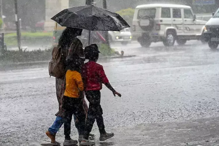 कम दबाव वाली प्रणालियों और हवाओं के कारण Kerala के 7 जिलों में आईएमडी का येलो अलर्ट जारी कम दबाव वाली प्रणालियों और हवाओं के कारण Kerala के 7 जिलों में आईएमडी का येलो अलर्ट जारी