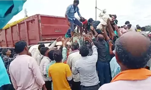 मुर्गियों की लूट, वाहन पलटने के बाद टूट पड़े ग्रामीण