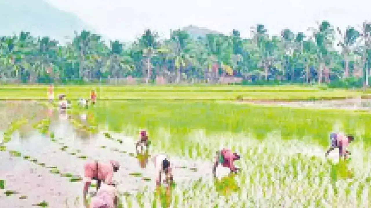 कृषि क्षेत्र में कॉरपोरेट दिग्गजों का दबदबा: AIKS कृषि क्षेत्र में कॉरपोरेट दिग्गजों का दबदबा: AIKS