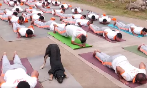 अंतरराष्ट्रीय योग दिवस की पूर्व संध्या पर NDRF टीम के साथ कुत्ते ने किया योग अंतरराष्ट्रीय योग दिवस की पूर्व संध्या पर NDRF टीम के साथ कुत्ते ने किया योग