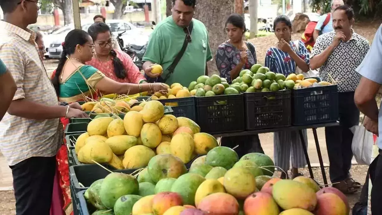 Karnataka: आम किसानों को राहत देने के लिए कैबिनेट केंद्र पर दबाव बनाएगी Karnataka: आम किसानों को राहत देने के लिए कैबिनेट केंद्र पर दबाव बनाएगी