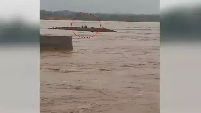 महानदी का जलस्तर बढ़ने से सुंदरगढ़ का युवक डूबा, समय रहते बचा लिया गया