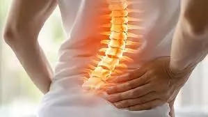 Yoga: कमर दर्द से पाना चाहते हैं छुटकारा, तो रामबाण की तरह काम करता है ये योगासन Yoga: कमर दर्द से पाना चाहते हैं छुटकारा, तो रामबाण की तरह काम करता है ये योगासन