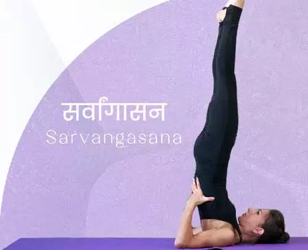 सर्वांगासन से बढ़ाएं याददाश्त, कम करें तनाव और रखें दिल का ख्याल सर्वांगासन से बढ़ाएं याददाश्त, कम करें तनाव और रखें दिल का ख्याल