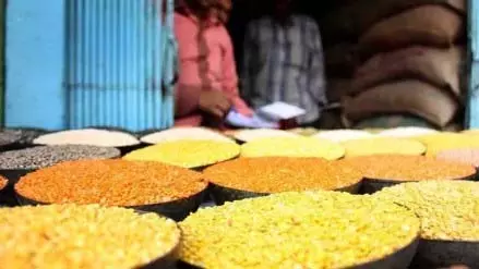 तूर दाल की कीमत में गिरावट: तूर दाल की कीमत में गिरावट, उपभोक्ता खुश तूर दाल की कीमत में गिरावट: तूर दाल की कीमत में गिरावट, उपभोक्ता खुश
