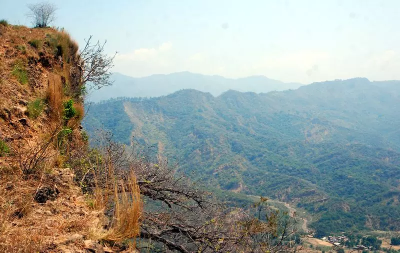 उच्च न्यायालय ने मोरनी हिल्स में वन क्षेत्र का सीमांकन करने का आदेश दिया उच्च न्यायालय ने मोरनी हिल्स में वन क्षेत्र का सीमांकन करने का आदेश दिया