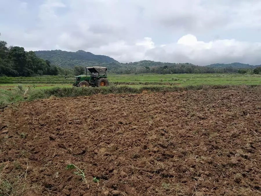 Kodagu : फसल बीमा करवाने का समय आ गया है Kodagu : फसल बीमा करवाने का समय आ गया है