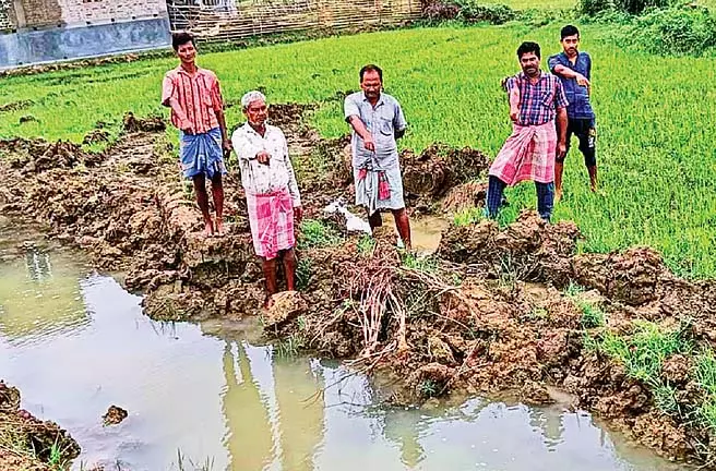सड़क नवीनीकरण के नाम पर कृषि भूमि नष्ट सड़क नवीनीकरण के नाम पर कृषि भूमि नष्ट