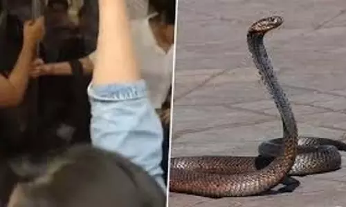 दिल्ली मेट्रो में अफरा-तफरी, महिला कोच में सांप की अफवाह