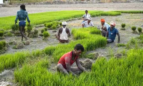 इस वर्ष मई में भारत के कृषि और ग्रामीण श्रमिकों के लिए महंगाई में आई कमी