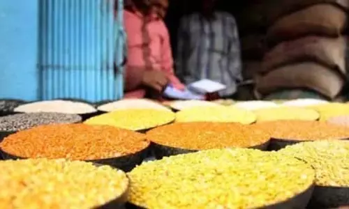 तूर दाल की कीमत में गिरावट: तूर दाल की कीमत में गिरावट, उपभोक्ता खुश