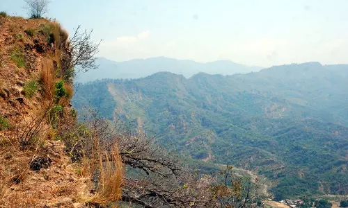 उच्च न्यायालय ने मोरनी हिल्स में वन क्षेत्र का सीमांकन करने का आदेश दिया उच्च न्यायालय ने मोरनी हिल्स में वन क्षेत्र का सीमांकन करने का आदेश दिया