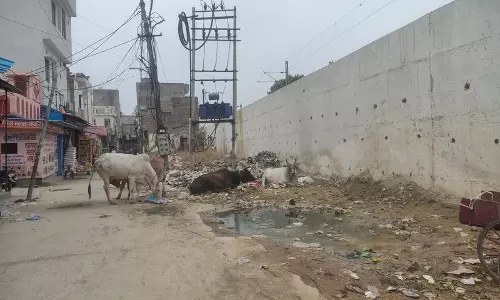 Haryana : सरकार का ड्रीम प्रोजेक्ट निवासियों के लिए दुःस्वप्न साबित हुआ