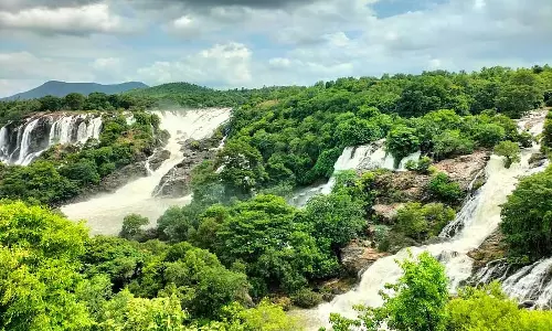 भाराचुक्की झरने पर्यटकों के लिए आकर्षण का केंद्र; व्यापार भी बढ़ रहा