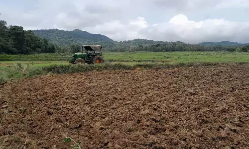 Kodagu : फसल बीमा करवाने का समय आ गया है Kodagu : फसल बीमा करवाने का समय आ गया है