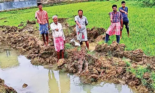 सड़क नवीनीकरण के नाम पर कृषि भूमि नष्ट सड़क नवीनीकरण के नाम पर कृषि भूमि नष्ट
