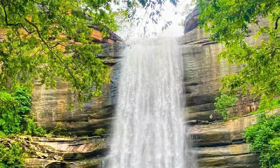 Telangana: आदिवासी युवाओं ने गुंडाला जलप्रपात पर घर में रहने का फैसला किया Telangana: आदिवासी युवाओं ने गुंडाला जलप्रपात पर घर में रहने का फैसला किया