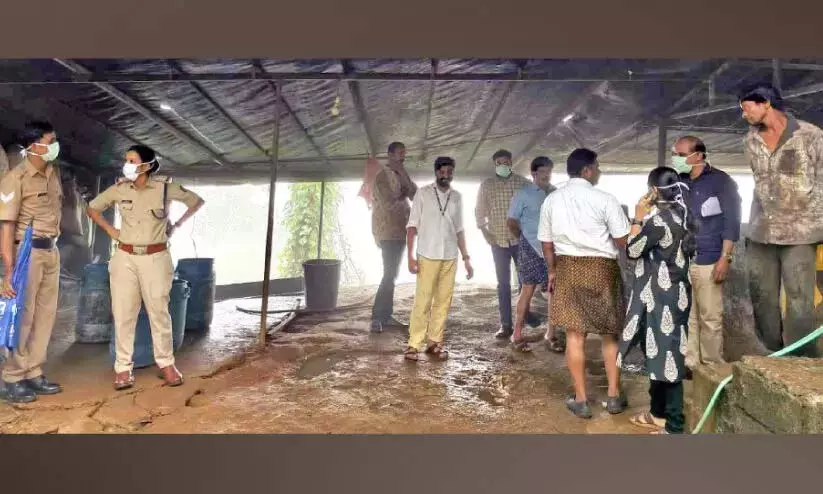 महामारी की रोकथाम; अवैध सुअर फार्म बंद महामारी की रोकथाम; अवैध सुअर फार्म बंद