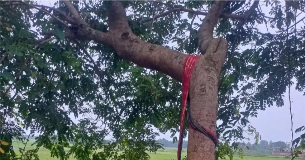 Odisha: पुरी में लापता महिला फंदे से लटकी मिली, परिवार ने लगाया हत्या का आरोप Odisha: पुरी में लापता महिला फंदे से लटकी मिली, परिवार ने लगाया हत्या का आरोप
