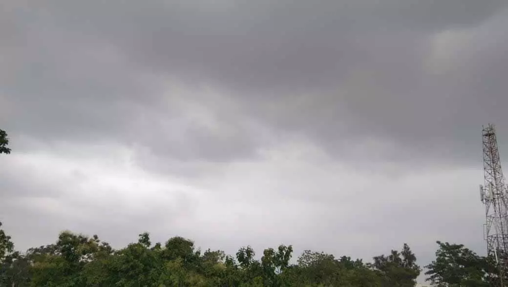 प्रदेश में अब तक 55 मिमी औसत वर्षा दर्ज प्रदेश में अब तक 55 मिमी औसत वर्षा दर्ज