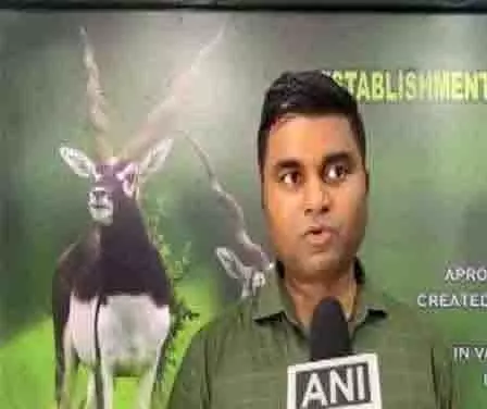 मध्य प्रदेश: Shajapur में काला हिरण मृत पाया गया मध्य प्रदेश: Shajapur में काला हिरण मृत पाया गया