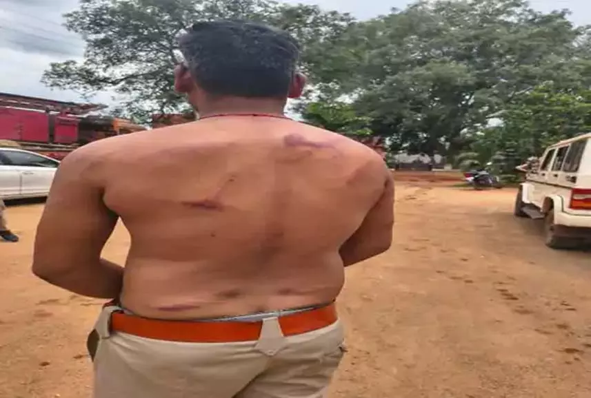 ग्रामीणों ने वन विभाग की टीम पर किया हमला, डिप्टी रेंजर सहित चार कर्मी घायल ग्रामीणों ने वन विभाग की टीम पर किया हमला, डिप्टी रेंजर सहित चार कर्मी घायल