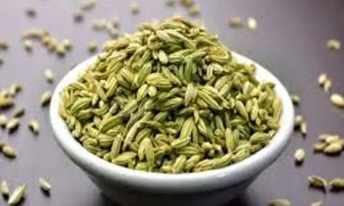 Benefits of Fennel : जानिए सौंफ खाने के फायदे,आज ही अपनी डाइट में करें शामिल