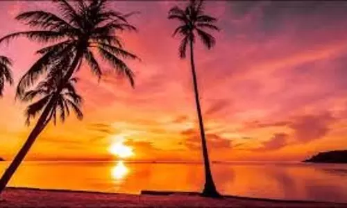 Lifestyle: कसौली जा रहे हैं तो वहां की ये 6 जगहें जरूर एक्सप्लोर करें, ट्रिप का मजा हो जाएगा दोगुना Lifestyle: कसौली जा रहे हैं तो वहां की ये 6 जगहें जरूर एक्सप्लोर करें, ट्रिप का मजा हो जाएगा दोगुना