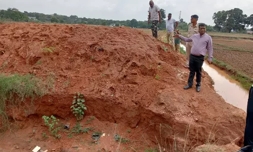 रायगढ़ पुलिस लाइन के फायरिंग रेंज में वृक्षारोपण किया गया