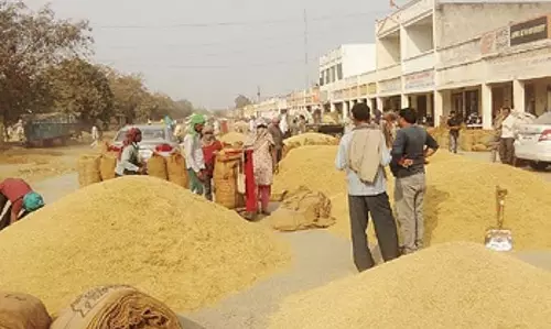 Odisha के कोरापुट जिले में किसानों से धान उठाने के लिए पर्याप्त ट्रक नहीं