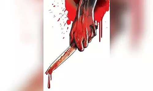 पारिवारिक विवाद के चलते गाय के थन काटे गए: खेत में कराहते हुए गाय की मौत
