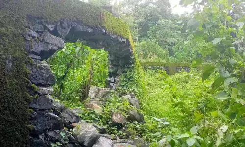 वन विभाग बाढ़ में क्षतिग्रस्त हाथी दीवार का पुनर्निर्माण करने में विफल वन विभाग बाढ़ में क्षतिग्रस्त हाथी दीवार का पुनर्निर्माण करने में विफल