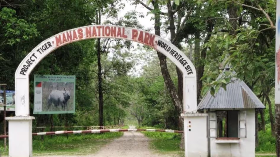 Assam :  नई जांच चौकियों और कर्मचारियों की भर्ती के साथ मानस प्रमुख पर्यटन केंद्र बनेगा