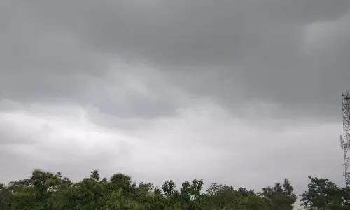 प्रदेश में अब तक 55 मिमी औसत वर्षा दर्ज प्रदेश में अब तक 55 मिमी औसत वर्षा दर्ज
